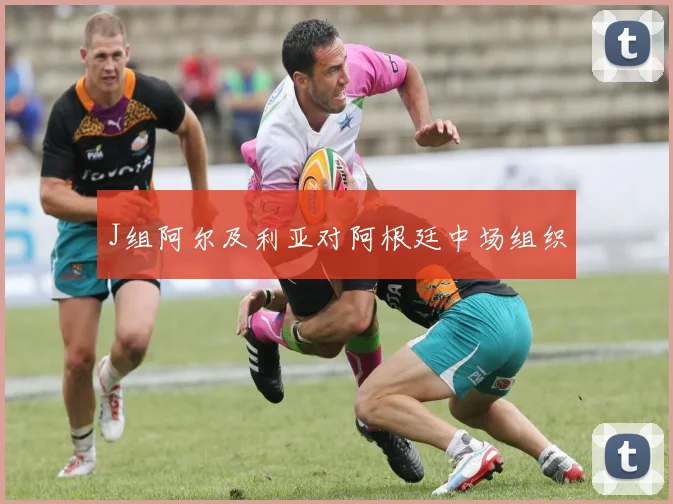J组阿尔及利亚对阿根廷中场组织