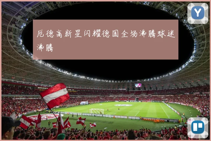 厄德高新星闪耀德国全场沸腾球迷沸腾