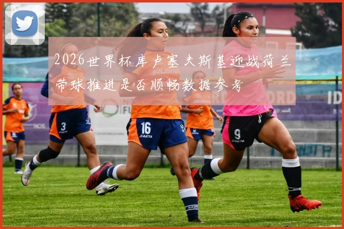 2026世界杯库卢塞夫斯基迎战荷兰带球推进是否顺畅数据参考