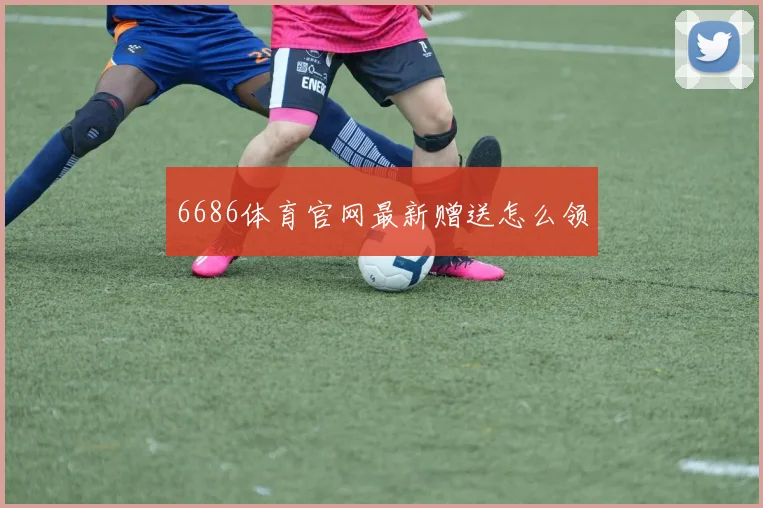 6686体育官网最新赠送怎么领