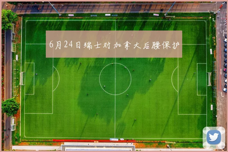6月24日瑞士对加拿大后腰保护
