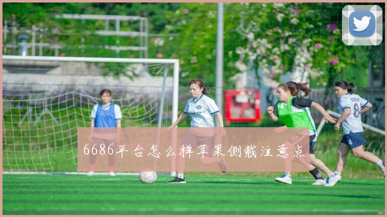 6686平台怎么样苹果侧载注意点