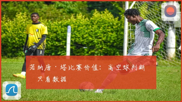 若纳唐·塔比赛价值：高空球判断不只看数据