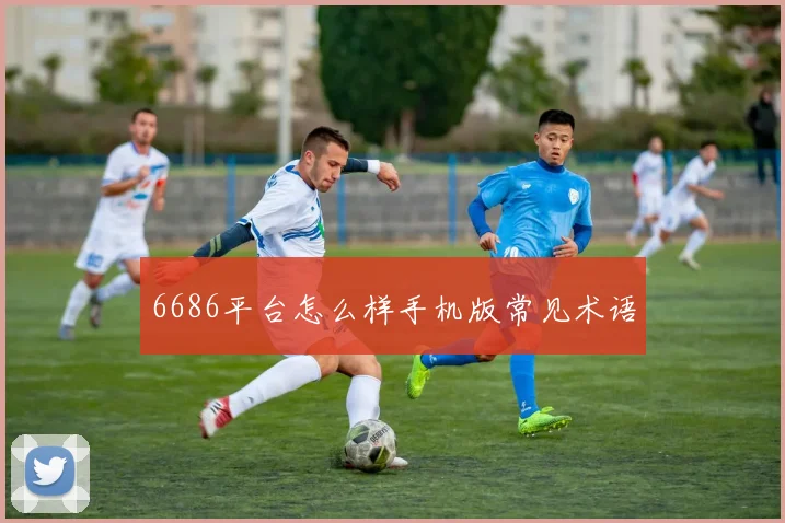 6686平台怎么样手机版常见术语